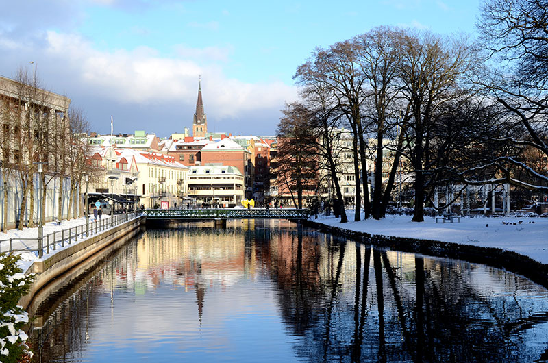 Ny utbildning stärker Borås e-handelsprofil